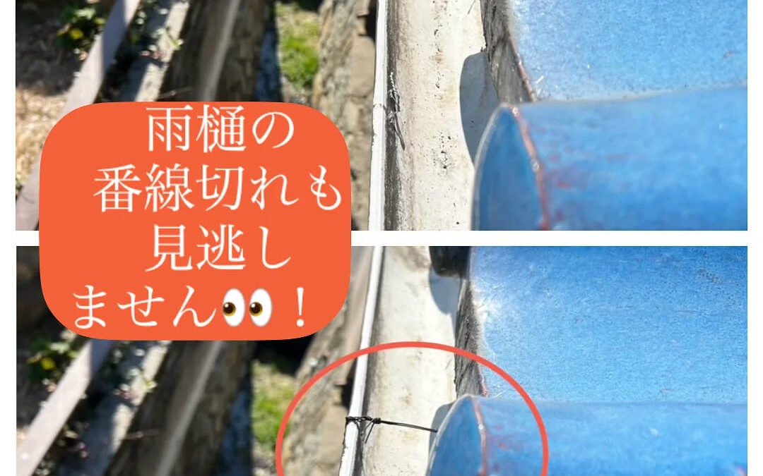 【雨樋の小さな異変も、見逃しません】