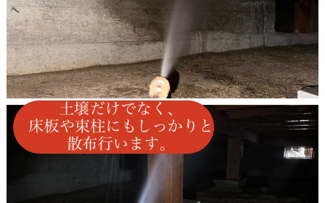 【シロアリから家を守る