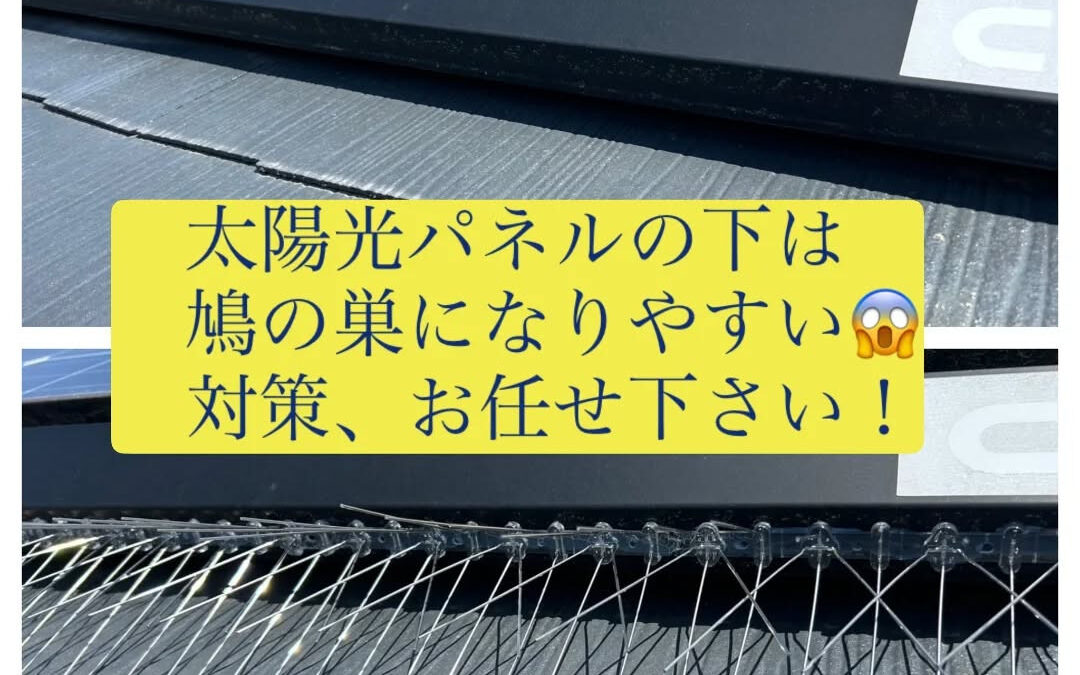 【太陽光パネルの“その下”、見落としていませんか?️】
