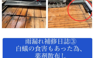 【雨漏れ補修日誌③｜白蟻（シロアリ）の痕跡も…しっかり処置を