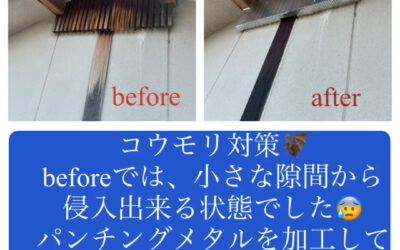 【コウモリ対策施工完了】
