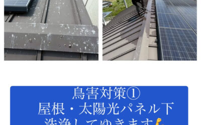 【鳥害対策①】
