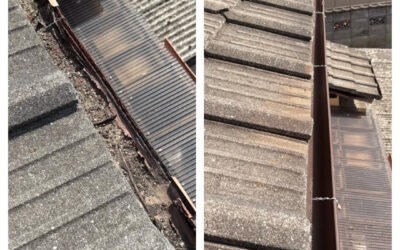 【雨樋の掃除、してますか？】