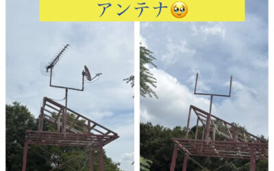 【職人も思わず二度見した】