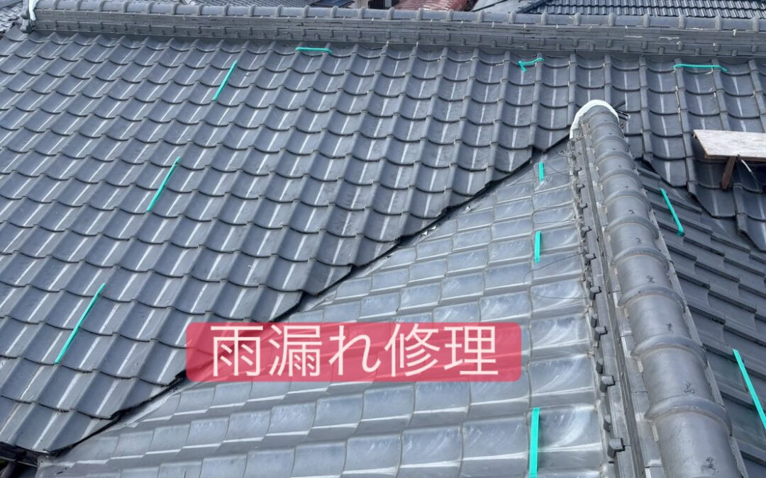 比較的暖かい土日でしたね！^_^