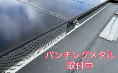 『鳥害対策完工』