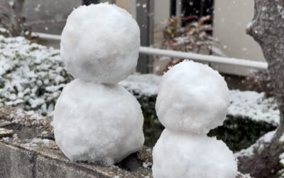みなさま、昨日は高松市内も結構雪が降り❄️極寒の1日でしたね