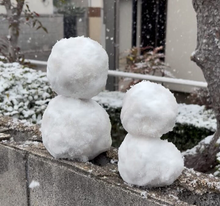 みなさま、昨日は高松市内も結構雪が降り❄️極寒の1日でしたね