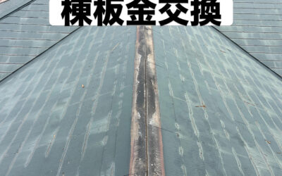 『築35年棟板金の交換⛑️』