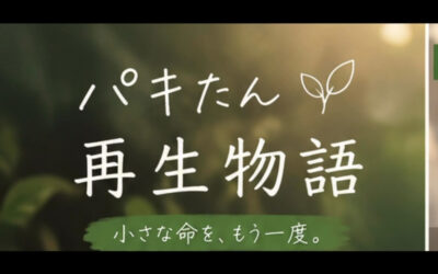 日本代表⚽️決勝トーナメント進出
